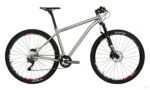 MTB29·LONGAN